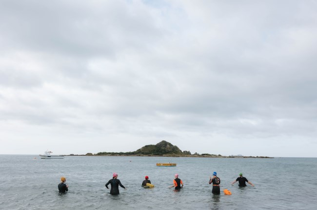 Public invited to dive in and share views on 10-year Coastal Plan