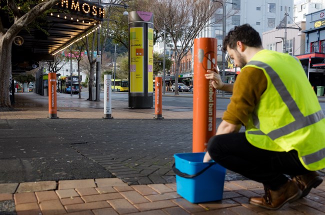 Wellington businesses and residents team up for tidy-up  