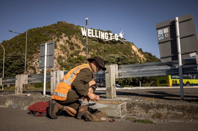 Council and Predator Free Wellington win Supreme Award at Local Government Excellence Awards