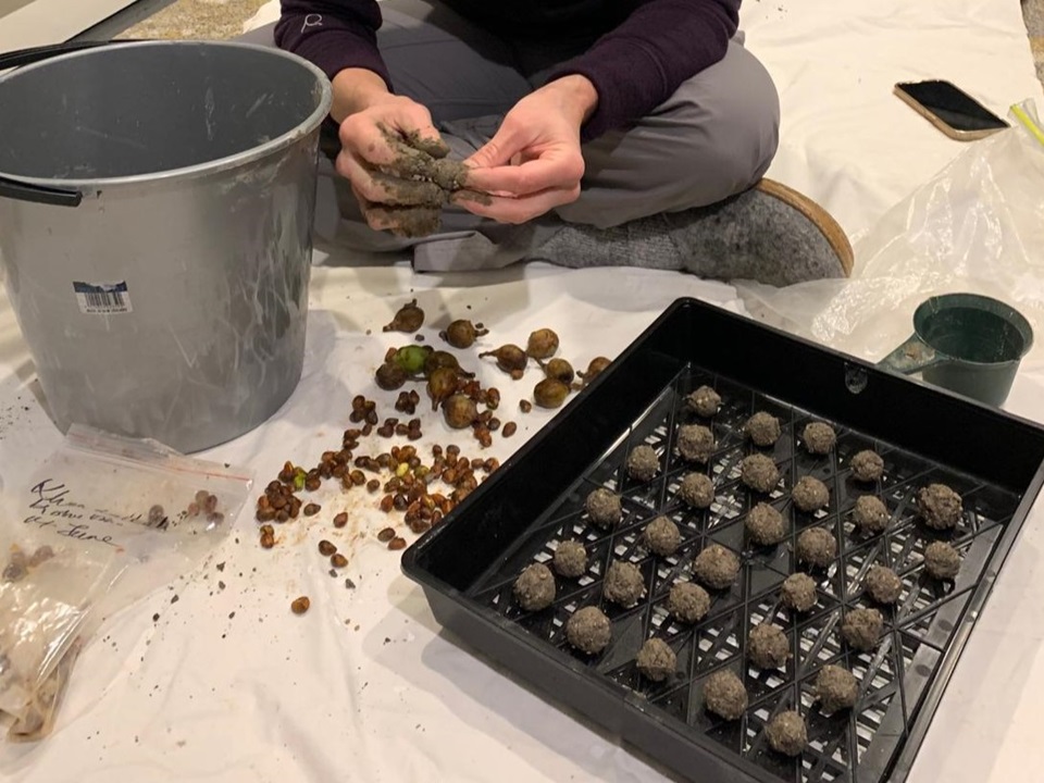 A photo of Sarah Goldberg mixing dirt and seeds to make seed truffles while seated on a white sheet