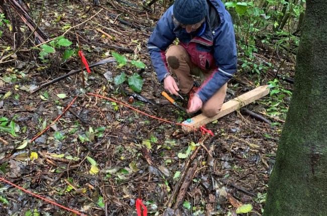 A photo of a person knelt down on one knee checking a marked dirt plot to check seed progress