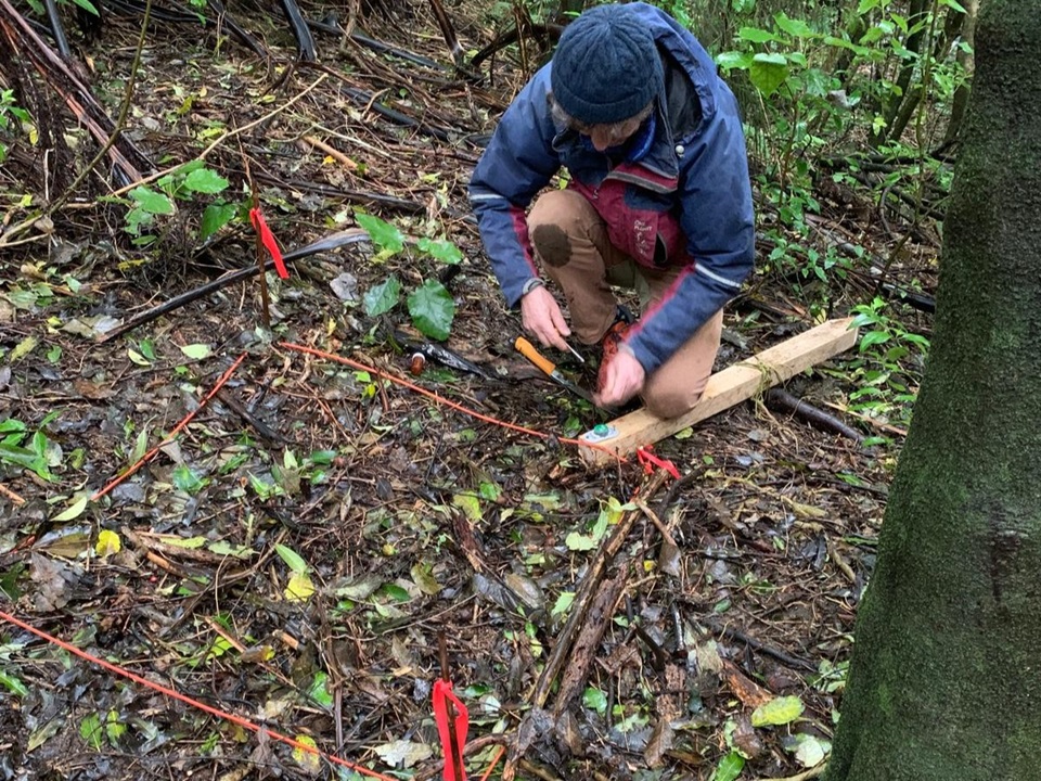 A photo of a person knelt down on one knee checking a marked dirt plot to check seed progress