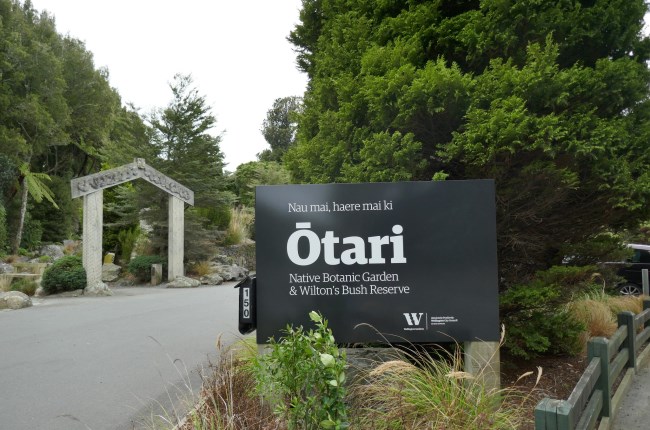 Ōtari sign grounded in dirt surrounded by plants 