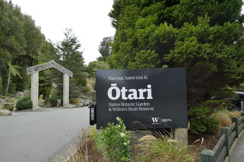 Ōtari sign grounded in dirt surrounded by plants 
