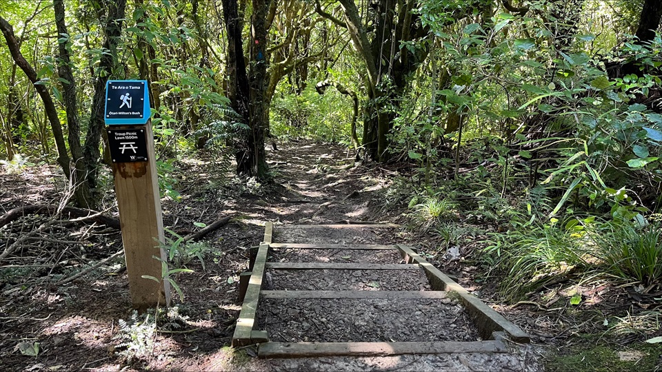 New track marker and stairs going down with trees on both sides 