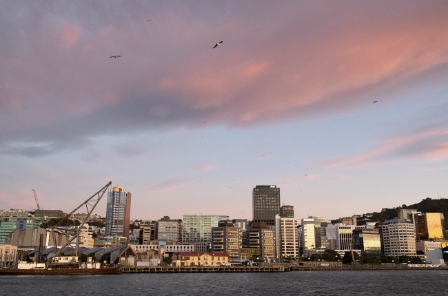 A dusky pink and blue sky above a cityscape that stretches around a harbour.