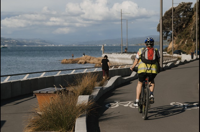 Ways to move around Wellington city 
