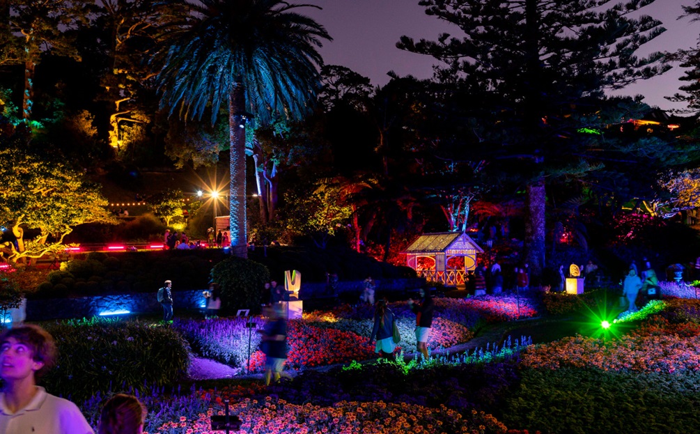 A light display at the Wellington Botanic Gardens.