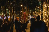 Children play in a grove of trees lit up with strings of glowing lights.
