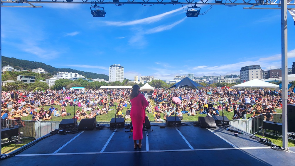 A performer on stage playing to a crowd seated on the grass in Waitangi Park on a blue-sky sunny day.