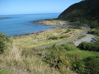 Tarakena Bay.