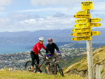 Two people on mountain bikes next to a sign post at the top of Makara Peak. View of Wellington in the background.