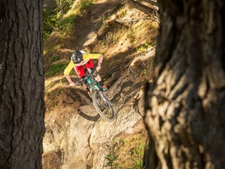 View between two trees of a man on a mountain bike riding down a steep dirt track. 