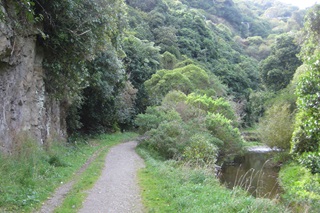 View of creek and walkway at Trellisick Park.