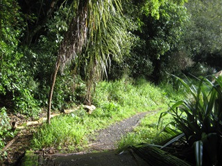 Waimapihi Reserve