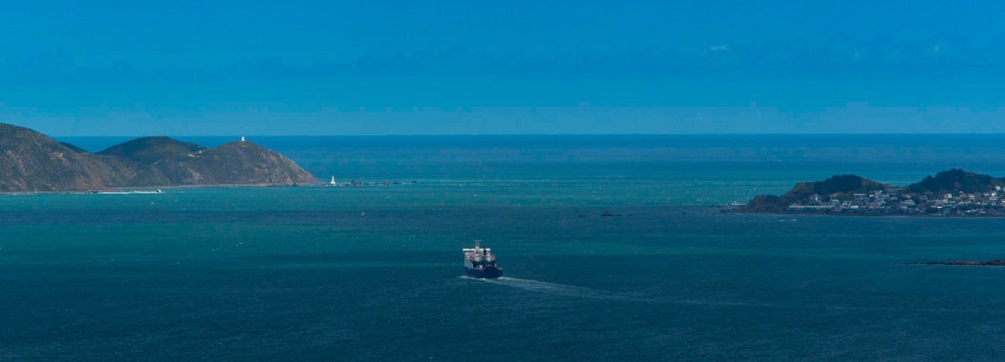 A ferry crossing the harbour, viewed from Te Ara Paparārangi track.