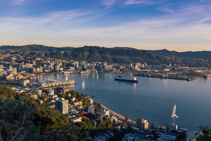 View of Wellington city with a view of the Harbour and city buildings and houses on the hills.