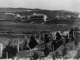 Fields and a stream making up the Basin Reserve in 1875.