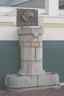 Plaque and drinking fountain to commemorate Paddy the Wanderer.
