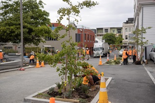 Workers planting trees in Swan Lane.