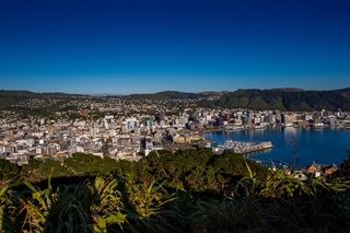 Wellington city and harbour on a sunny day.