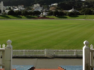 A scenic shot of the green at the Basin Reserve.