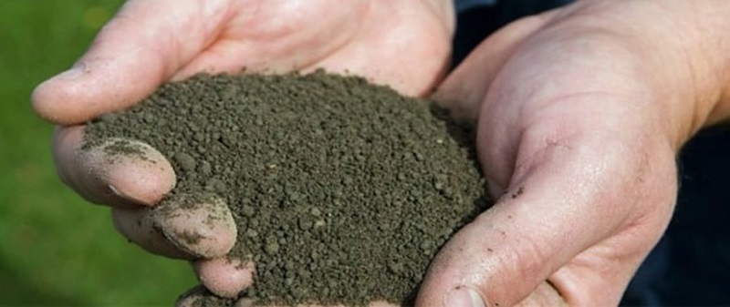 An example of dried sludge like the product from the proposed Wellington Sludge Minimisation Facility An example of dried sludge like the product from the proposed Wellington Sludge Minimisation Facility.