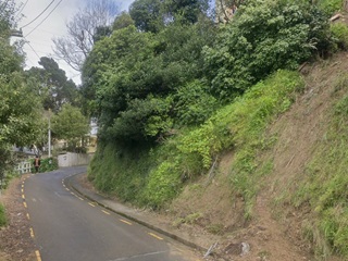 An area of Mortimer Terrace where a retaining wall is being built. The hillside is exposed with little vegetation, at risk of land slips.