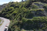 View from atop Ngaio Gorge showing hillside vegetation and part of the road.