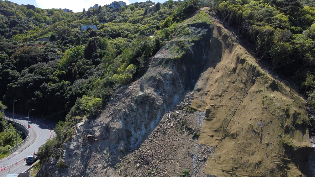 View from atop Ngaio Gorge showing the slip.
