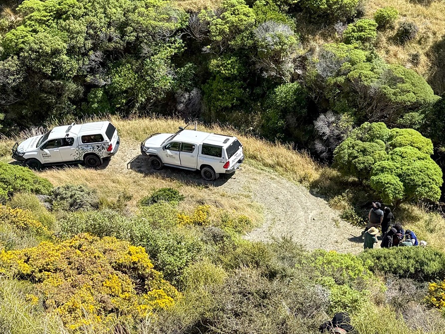 Two Council utes parked on a gravel road in the bush.