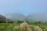 Hills surrounded in mist and clouds.