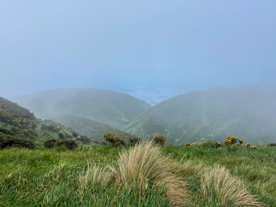 Hills surrounded in mist and clouds.
