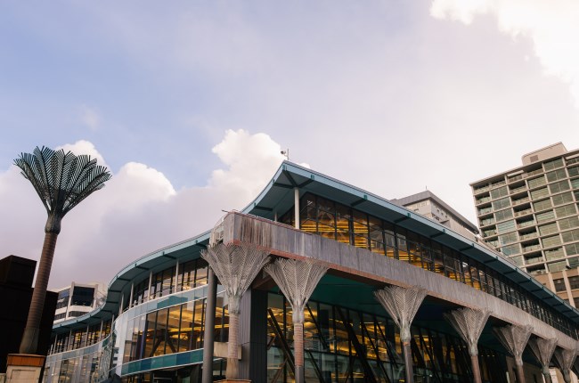 Te Matapihi ki te Ao Nui Central Library Harris Street view with nikau