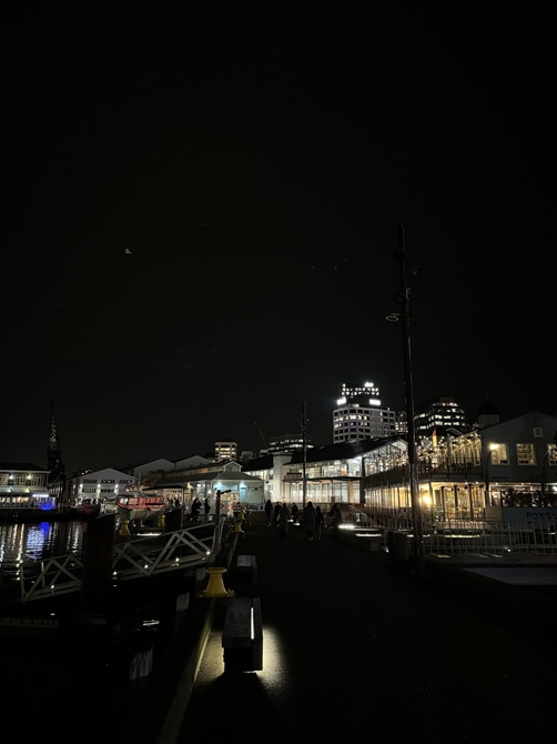 Waterfront at night before lighting improvements.