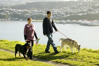 Two people on a Wellington walkway with their dogs on leads.