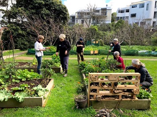 Six people gathered in a green space, gardening.