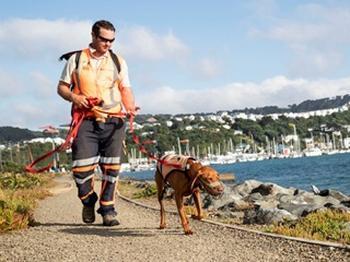 Photo is looking back along Cobham Drive towards the Evans Bay Marina. In the foreground there is a dog handler with a penguin detection dog on a lead. Both are wearing high viz and the dog is muzzled to be on the safe side. They are walking on a path next to the sea. In the distance you can see yachts in the marina, and houses on the hillside.