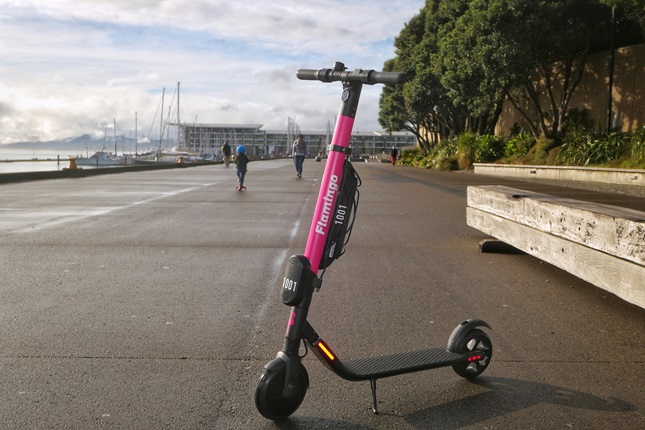Landscape image of Flamingo e scooter on waterfront