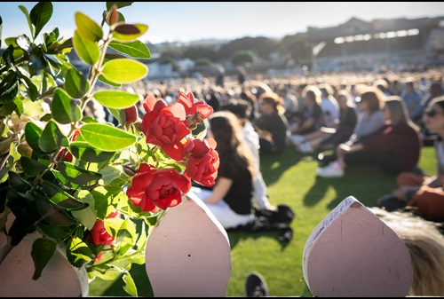 The Basin Reserve vigil brought together thousands of Wellingtonians 