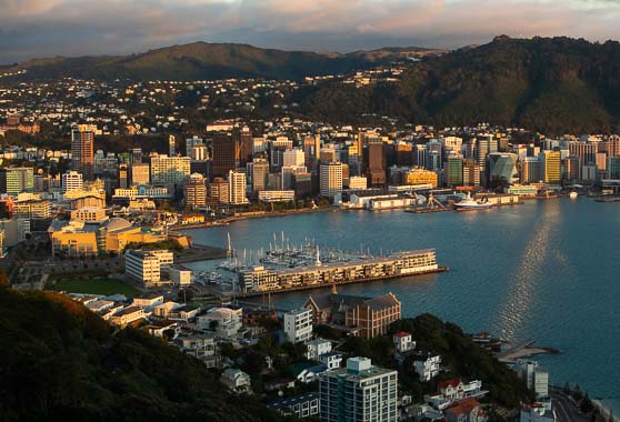 View of Wellington harbour from Mount Victoria.