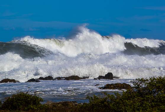 Big swell due to a storm surge in Wellington South Coast.