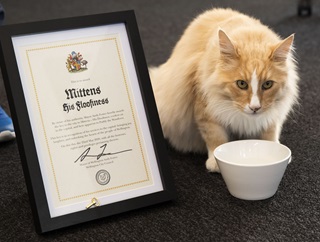Image of Mittens with certificate and key to the city