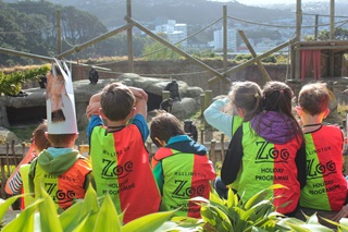 Children at the Wellington Zoo holiday programme overlooking the baboons in their enclosure on a sunny day.