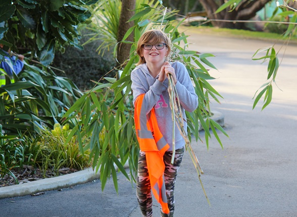 Mackenzie, 10, carrying bamboo at the Wellington Zoo.