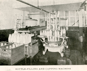 An old black and white image proving a glimpse inside Wellington City Council's Municipal Milk Department. The photo shows a room with the bottle-filling and capping machine at work on dozens of glass milk bottles.