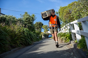 Image of Predator Free Wellington staff installing box in suburbs