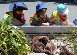 Three young children intrigued as they watch the otters through the glass enclosure at Wellington Zoo.