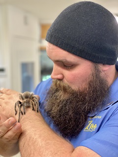 Dave Laux holds Rosie the tarantula.
