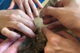 The Zoo vets carefully glued the new feathers in place. 